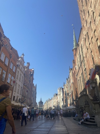 3miasto099