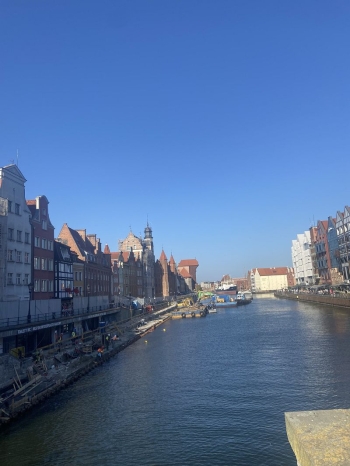 3miasto113