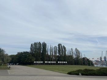 3miasto197