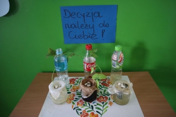 wiosna15