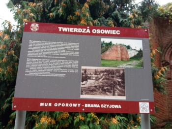 osowiec28