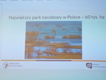 dzika03