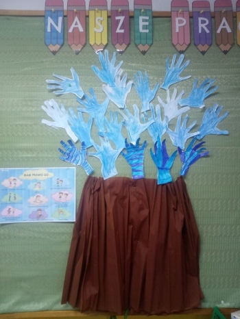 prawa06