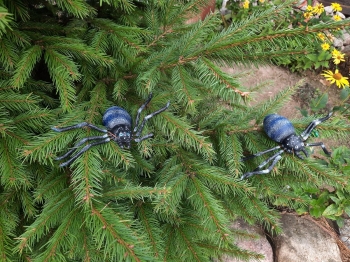 kopiec31
