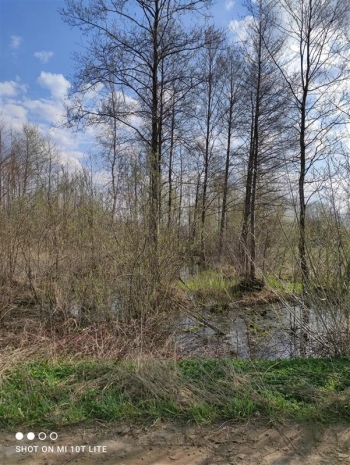 dziemi01