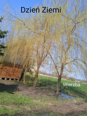 dziemi02