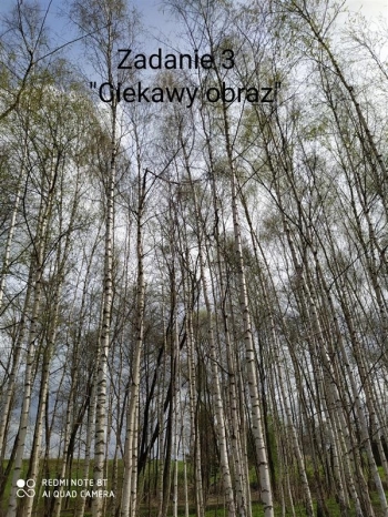 dziemi13