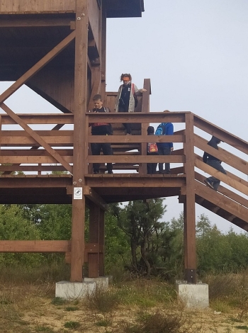 grzedy75