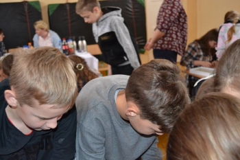 bezprzem15