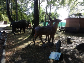 mazury029