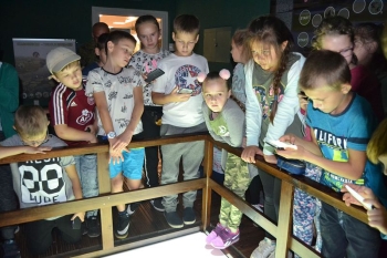 osowiec13