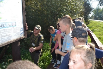 osowiec31