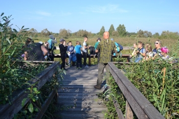 osowiec46