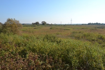 osowiec53
