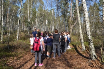 osowiec62