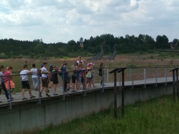 wroclaw311