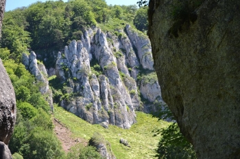 gniazda038
