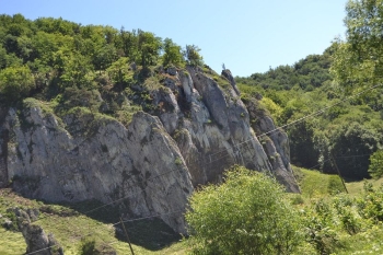 gniazda049