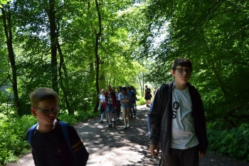 gniazda054
