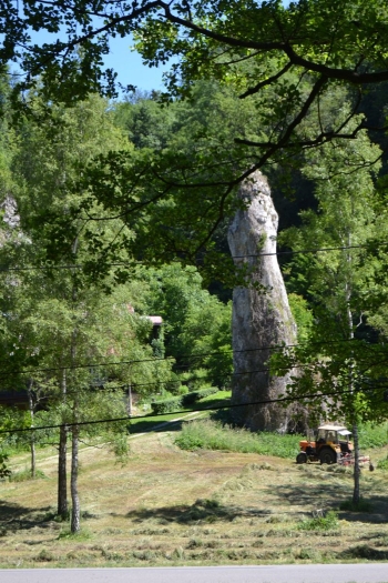 gniazda058