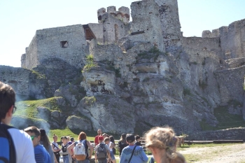 gniazda066
