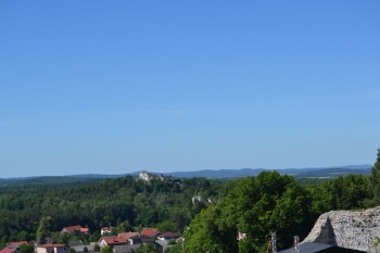 gniazda069