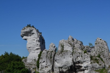 gniazda070