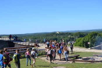 gniazda078