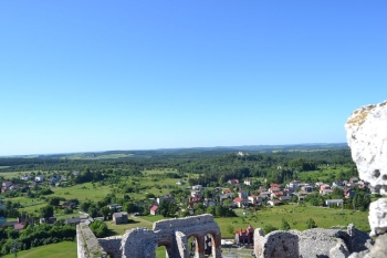 gniazda090