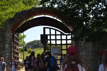 gniazda102