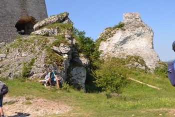 gniazda111