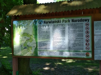 npn171