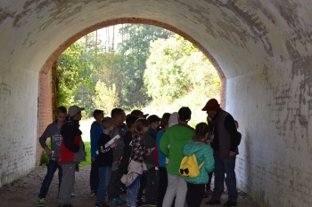 osowiec114