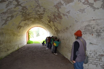 osowiec118