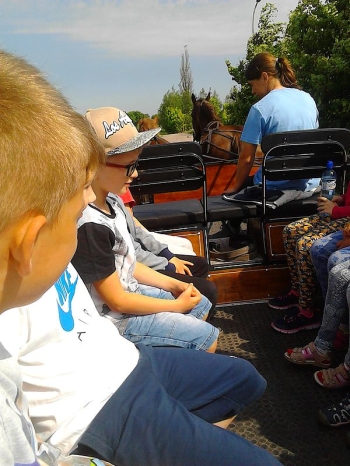 piknik15