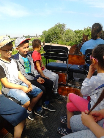 piknik23