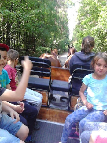 piknik37