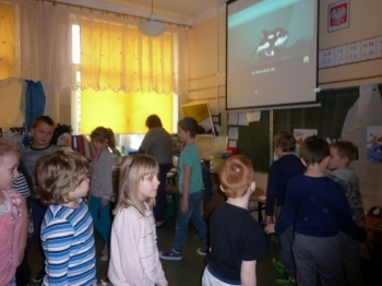 ant25