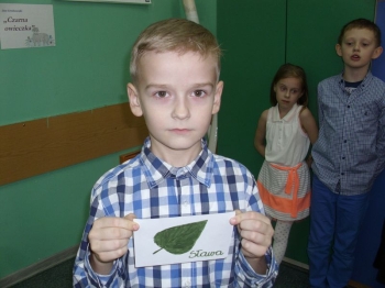 andrz87