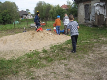 ziemn36