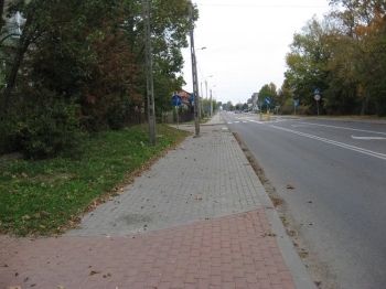 ziemn44