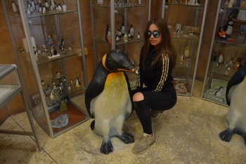 wroclaw008