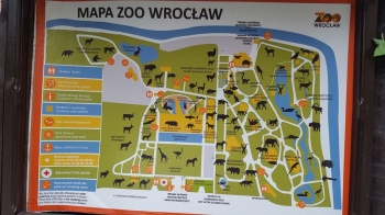 wroclaw034