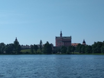 muzwig002