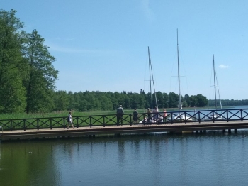 muzwig034