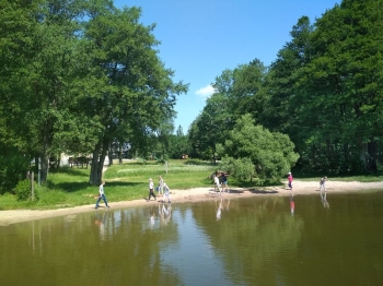muzwig035