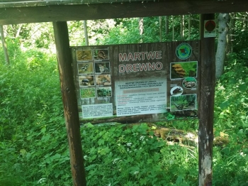 muzwig057