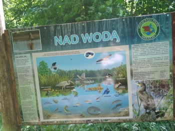 muzwig059