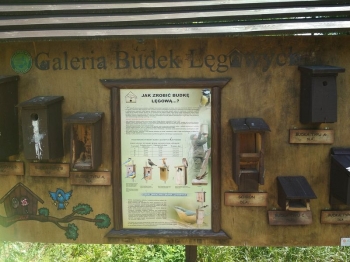 muzwig062