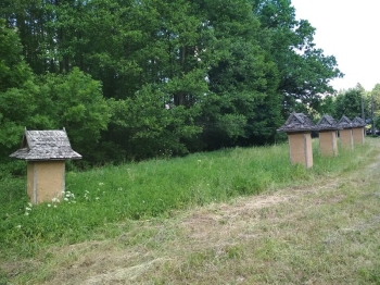 muzwig087